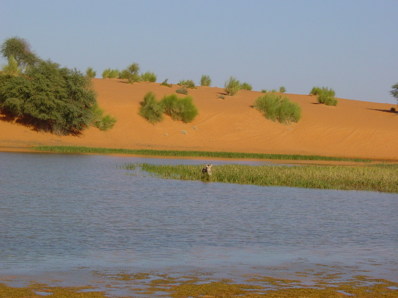 Lago a Matmata